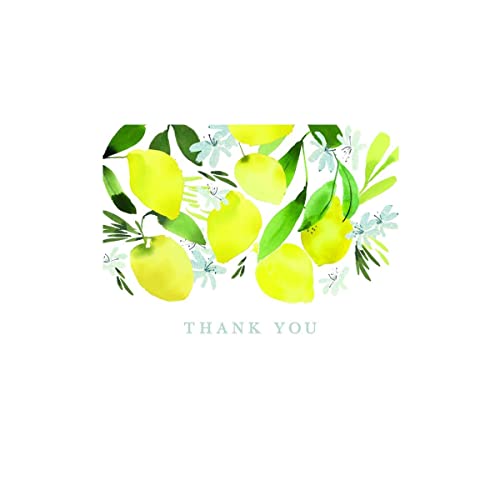 Design Design 119-09440 Lemon Blossom Thank You Boxed Notecard, 5-inch Length