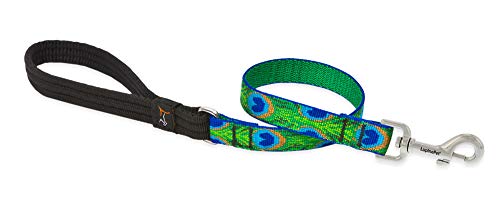 Lupine Pet Originals 3/4" Tail Feathers 2-Foot Traffic Lead/Leash for Medium and Larger Dogs