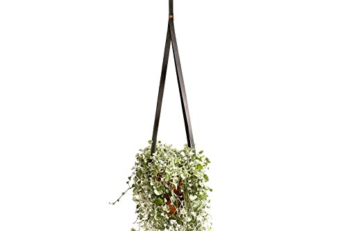 Alta Andina Leather Plant Hanger | Hanging Planter for Indoor Plants, Cactus, & Succulents | Full Grain, Vegetable Tanned Leather Hanging Plant Holder (Black - Noche)