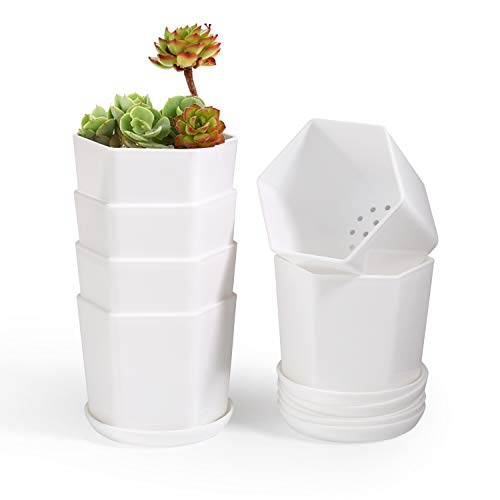 T4U 3.75 Inch Plastic Pot with Saucer White Set of 6, Hexagon Resin Planter Garden Plant Container Indoor Outdoor for Orchid Herb Flower Succulent Cactus Home Office Balcony Decor