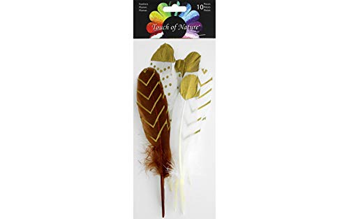 Midwest Design Imports Turkey Round Feather Assortment, 6-8", White, rust, gold