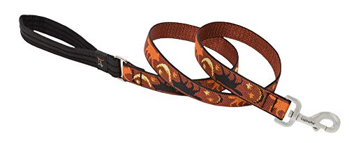 Lupine Pet Originals 1" Shadow Hunter 4-Foot Padded Handle Leash for Medium and Larger Dogs