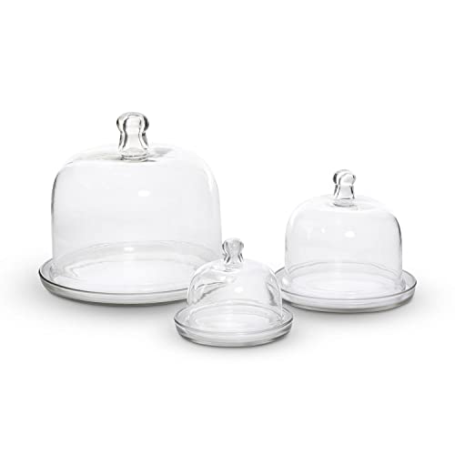 Park Hill Collection Cake and Pastry Domes