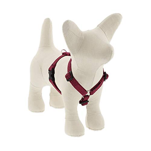 Lupine Pet Small Adjustable Dog Harness ECO Collection 1/2" Wide Berry with 12-20" Adjustable Girth