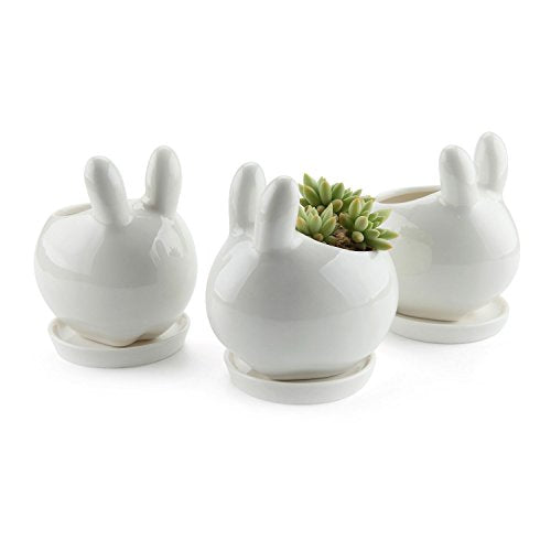 T4U Ceramic Pot White, Rabbit Planter Succulent Plant Cactus Flower Porcelain Holder Container Outdoor Indoor Home Office Decoration with Round Tray - Pack of 3