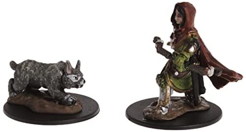 WizKids Wardlings RPG Figures: Girl Ranger & Lynx, Multi-Colored
