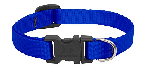 Lupine Pet Basics 1/2" Blue 8-12" Adjustable Collar for Small Dogs