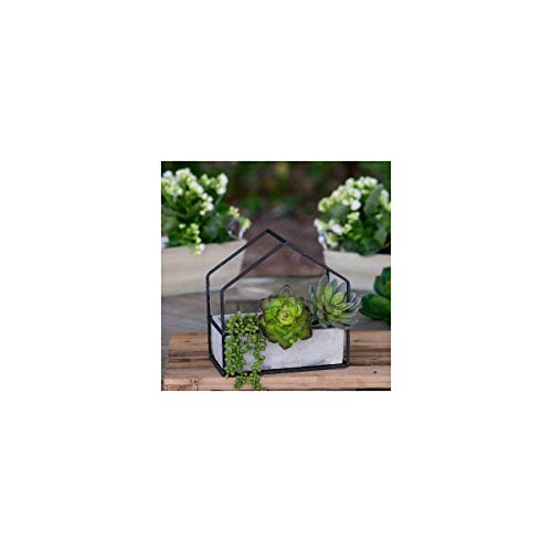 VIP Home and Garden YY1010 Ceramic Planter, 9.5-inch Height