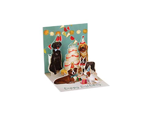 Up With Paper TR283 Birthday Dog Greeting Card, 3-inch Length