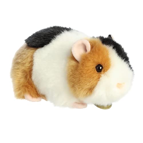 Aurora - Miyoni - 7.5" American Guinea Pig