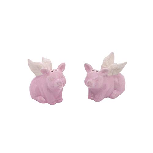 Transpac A2152 Country Market Spring Pigs with Wings Salt and Pepper Shaker, Set of 2