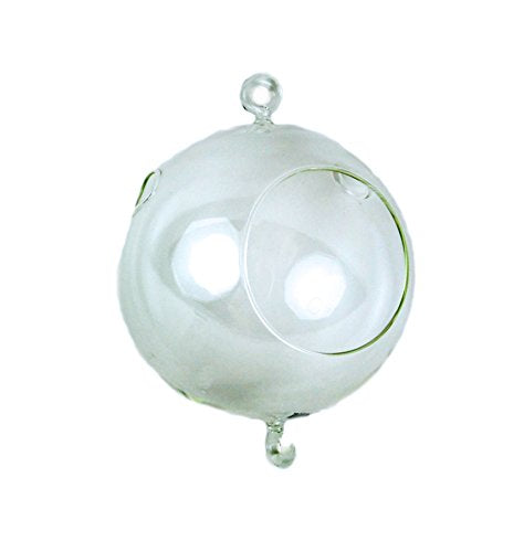 Midwest Design Touch of Nature Hand Blown Glass Hanging Ball 4 Inch with 2 Hooks, 1Pc