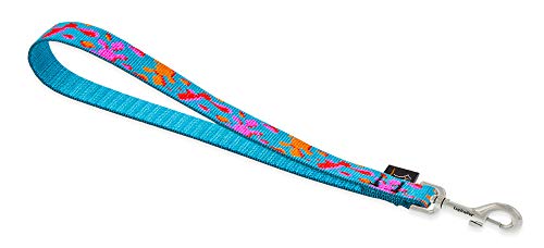 Lupine Pet Originals 3/4" Wet Paint 11" Training Tab/Leash for Medium and Larger Dogs