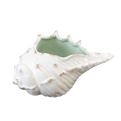 Beachcombers Ceramic Conch Shell Home Decor