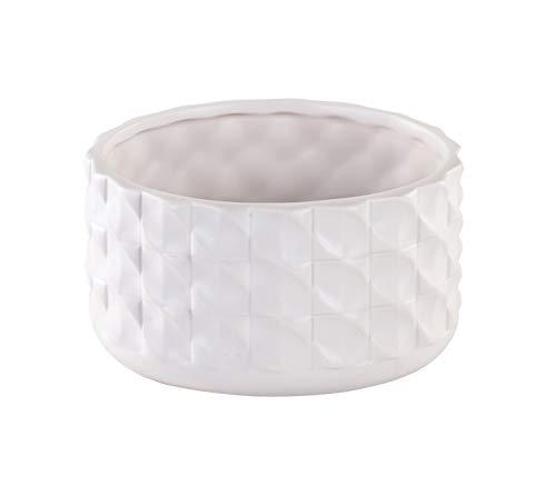 Napco 22122 Ceramic Braided Dish Garden Planter, White