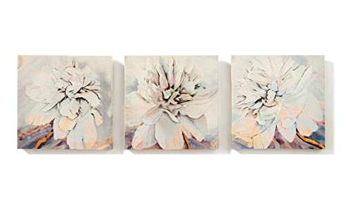 Giftcraft Floral Canvas Wall Prints, Set of 3, 8-inch Square, Canvas and Medium Density Fibreboard