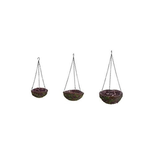 Transpac A1213 California Dreamin Hanging Planter, Set of 3