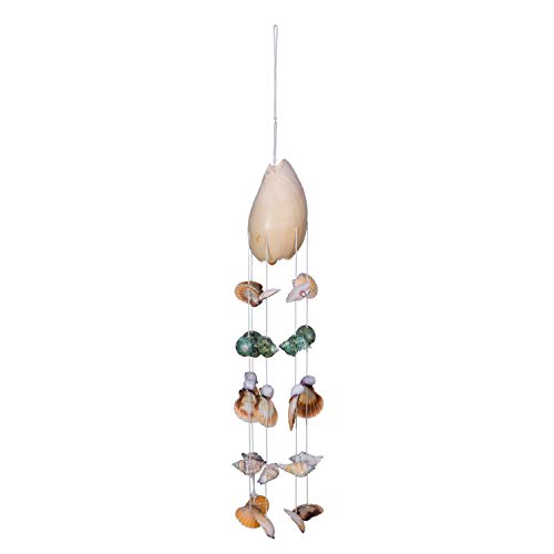 Beachcombers Melon Shell Top Chime