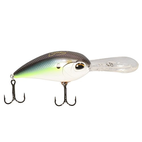 Jenko Fishing CD25SSGS CD25-90 mm 25' Silent Deep Diving Crank-Bait Gizzard Shad 1 3/4 oz