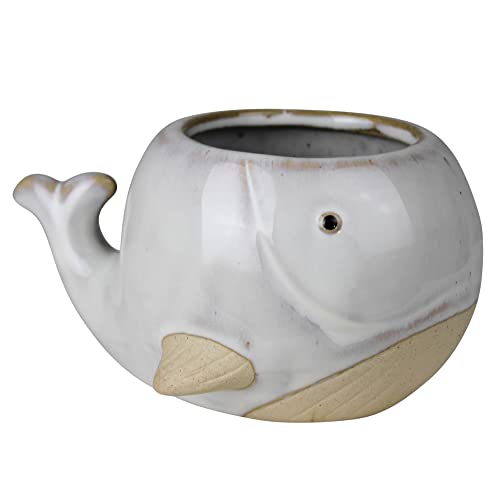 HomArt Whale Cachepot, 5.50-inch Length, Ceraminc