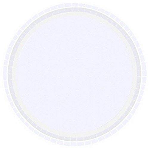Amscan Frosty White Round Plates, 9"