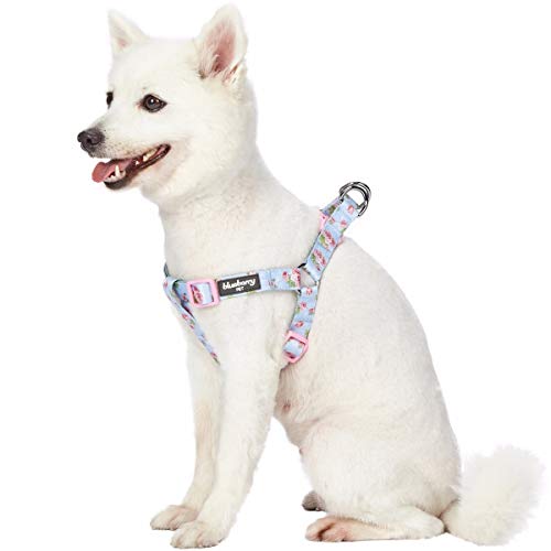 Blueberry Pet 9 Patterns Step-in Spring Scent Inspired Rose Blossom Floral Print Pastel Blue Dog Harness, Chest Girth 26" - 39", Large, Adjustable Harnesses for Dogs