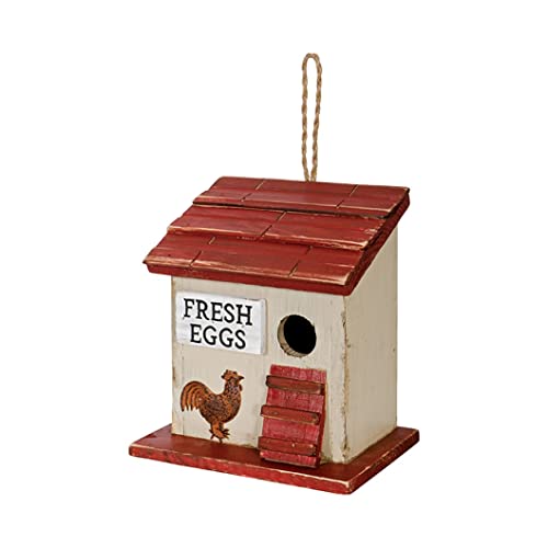 Carson 63842 Chicken Coop Birdhouse, 7.75-inch Height