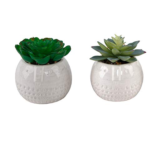 Flora Bunda Mid Century Artificial Plants Cactus Set of 2 Artificial Succulent in Round Cool Face Ceramic Planter White Pot 4" W x 4" H iinclude Potted Plant, for Home Office Decorations