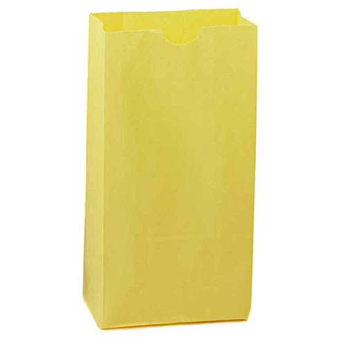 Hygloss Products Yellow Paper Bags ‚Äì For Party Favors, Arts, Crafts 3 x 5 x 9.75 Inch, 100 Pack