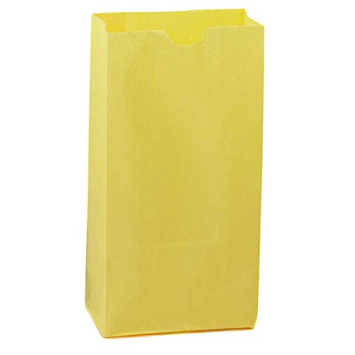 Hygloss Products Yellow Paper Bags ‚Äì For Party Favors, Arts, Crafts 4.5 x 8.5 x 2.5 Inch, 100 Pack