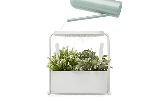 Umbra Giardino Indoor Herb Garden Set with Perforated Shelf and Tray for Water Fall and Drain System Planter, White