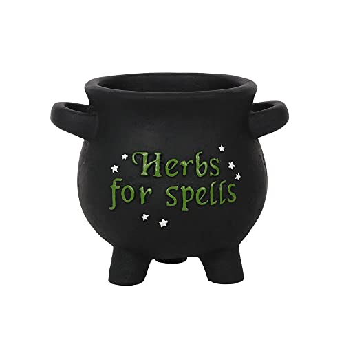 Pacific Trading Giftware Herbs for Spells Cauldron Planter, 5.11-inch Height, Resin, Garden Decoration