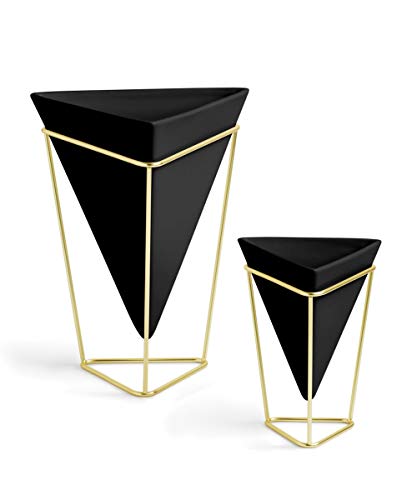 Umbra Trigg Desktop Planter Vase & Geometric Container-for Succulent, Air, Mini Cactus, Faux Plants, Black/Brass