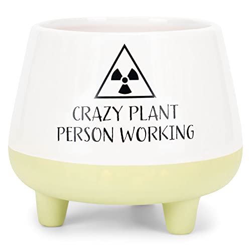 Napco Crazy Plant Person Working 3.5 Inch Diameter White Yellow Ceramic Footed Planter