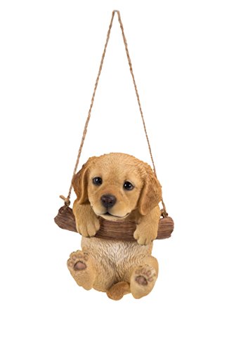 Hi Line Hanging Golden Retreiver Puppy