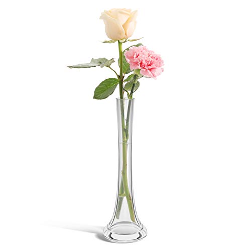 ComSaf Small Glass Vase for Flower Bud Home Decor Clear, Pack of 1