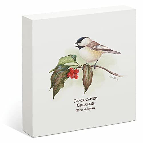Black-capped Chickadee 6" x 6" Box Art Sign