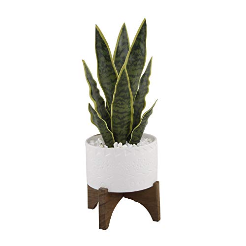 Flora Bunda Artificial Succulent Faux Plant 15.5" H Snake Plant in 5" Caveman Ceramic Planter on Stand,Snake Plant 5" White Artificial Plant, Fake Plant