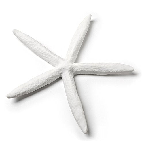 Abbott Collection  Flat Starfish, White (Small)