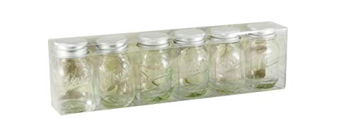 Grant Howard 52020 Fresh Embossed Mini Jars, 2 oz., Set of 6