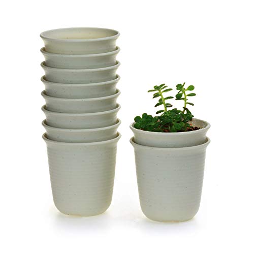 T4U 3 Inch Plastic Round Plant Pot/Cactus Flower Pot/Container Grey Set of 10,Seeding Nursery Planter Pot with Drainage for Flowers Herbs African Violets Succulents Orchid Cactus Indoor Outdoor