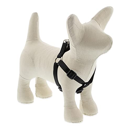 Lupine Pet Basics 1/2" Black 10-13" Step In Harness for Extra Small Dogs
