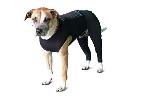 BENEFAB Therapeutic Comfort Suit for Dogs ‚Äî Lightweight Far-Infrared Jacket for Canines of All Ages ‚Äî Relaxing FIR Compression Suit Soothes Muscles, Joints, and Pain (Small)