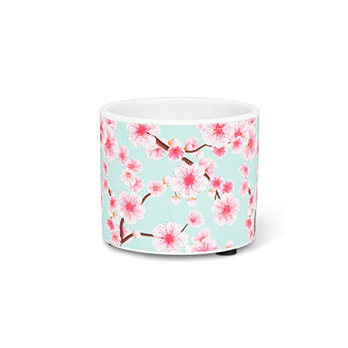 Abbott Collection  27-PL-AB-45-XS Xs Cherry Blossom Planter-3" D, 3 inches D, Aqua/Pink