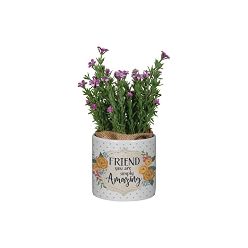 Carson Home Planter with Artificial Flowers, 7.5-inch Height (Friend Amazing)