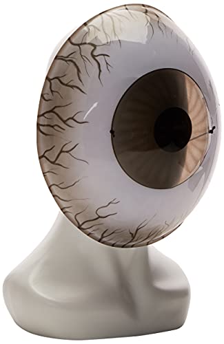 Disguise Giant Eyeball Mask Costume Accessory, White/Black, One Size Adult
