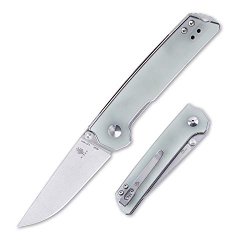 Kizer Domin Mini, EDC Folding Knife with 2.88 Inches N690 Blade and G10 Handle, Thumb-Stud, Reversible Clip -V3516(Transparent G10 handle+N690 blade)