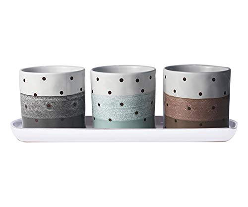 Blue Sky Ceramic Ashton Dot Set of 3 Planters W/Tray
