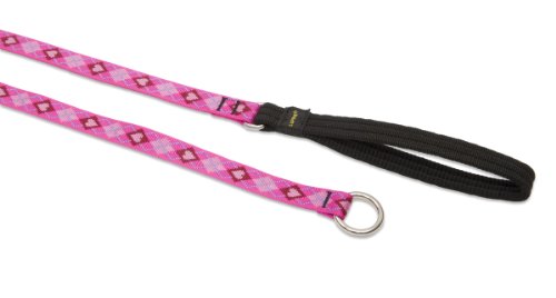 Lupine Pet Originals 3/4" Puppy Love 6-foot Slip Lead/Leash for Medium and Larger Dogs