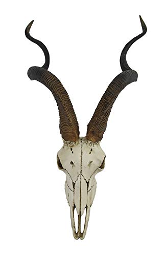 Unicorn Studio Veronese Design African Kudu Antelope Skull Wall Hanging Cool Twisted Horns